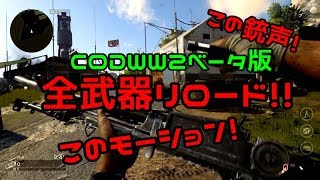 [CODWW2ベータ版]全武器リロード！