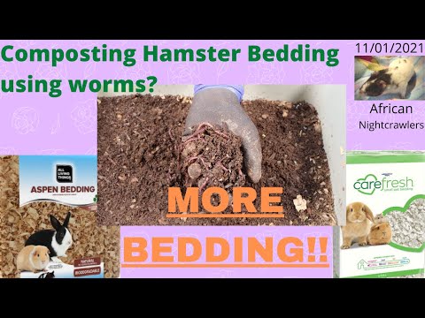 Compost Hamster Bedding with ANCs MORE BEDDING!!! 11/01/2021