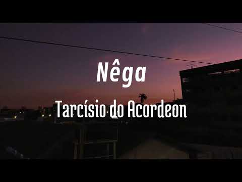 Nêga - Tarcísio do Acordeon (cover)