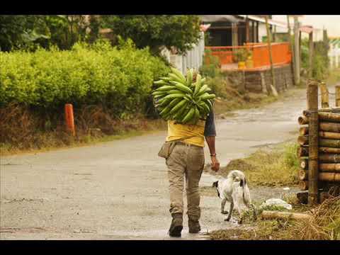 Rumbo a mi vereda el tocayo vargas