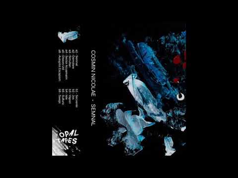 Cosmin Nicolae - Vapori [OPAL116]