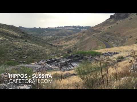 HIPPOS SUSSITA -The Jewish Odyssey Program - Cafetorah.com