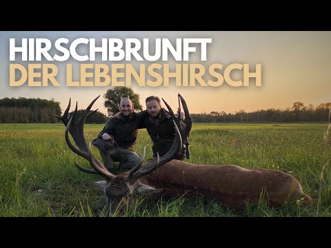Hirschbrunft in Polen I Goldmedaillen Lebenshirsch I Hunt on Demand Free Episode