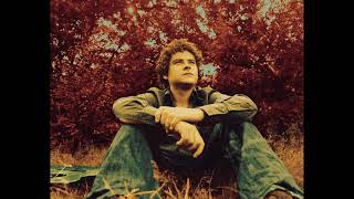 The Whole of the Moon - Paddy Casey and The Frames (2001)