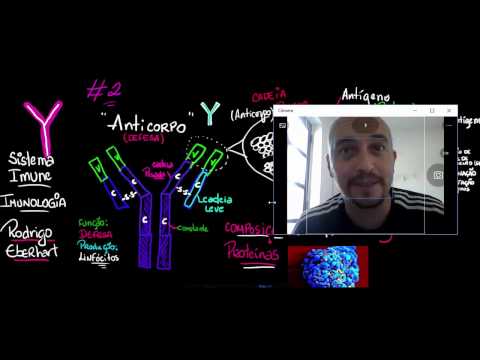 Imunologia #2 Anticorpos