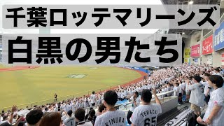 【千葉ロッテマリーンズ】 白黒の男たち