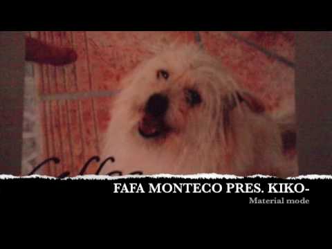 FAFA MONTECO PRES. KIKO- Material mode