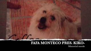 FAFA MONTECO PRES. KIKO- Material mode