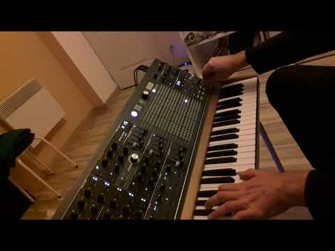 Matrixbrute V2. 0 sound