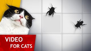Download lagu CAT GAMES - Bugs on the wall (High contrast video for Cats) mp3