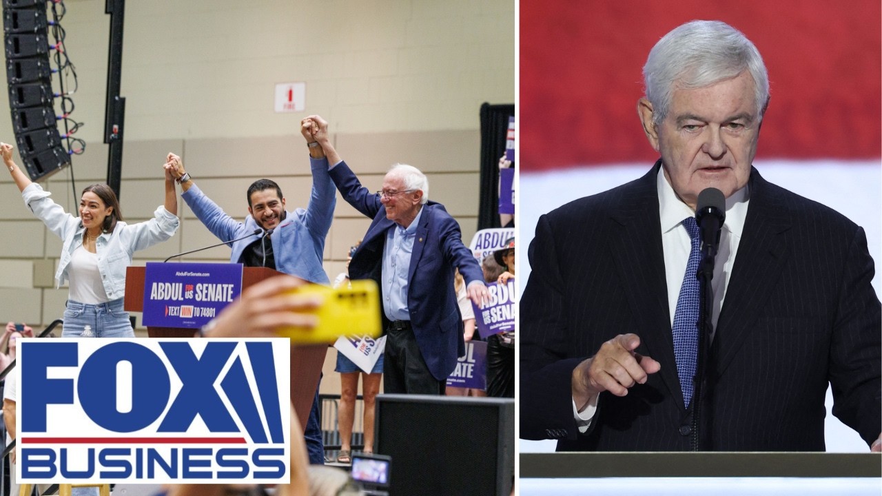 Newt Gingrich: THEY are becoming the ‘AMNESIA PARTY’