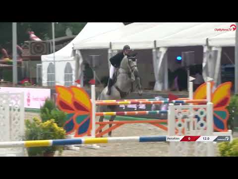 Daddy Cool Ter Linden Z