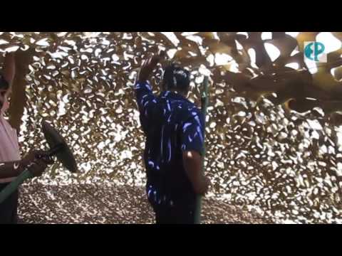 download lagu mp3 mp4 Entremonde, download lagu Entremonde gratis, unduh video klip Download Entremonde Mp3 dan Mp4 320kbps Gratis