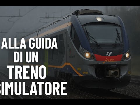 NESSUNO VE LO MOSTRA… Ecco cosa vede un macchinista in cabina!