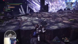 [MHW]フレンドさんと雑談しながら