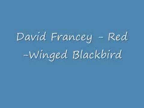 David Francey - Red-Winged Blackbird