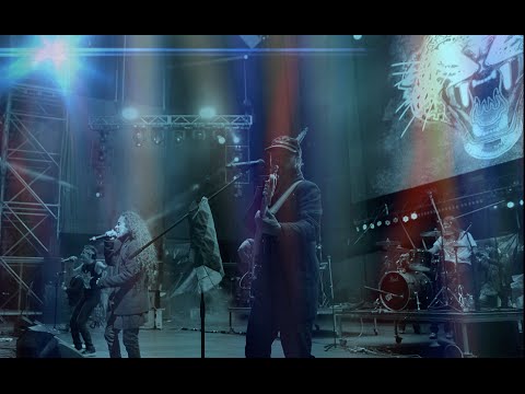 Doctor Krápula + Colectivo Jaguar - AmaZonas (Video oficial)