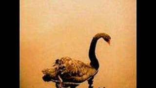 Black Black Ocean by Crooked Fingers