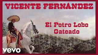 Vicente Fernández - El Potro Lobo Gateado (Letra / Lyrics)
