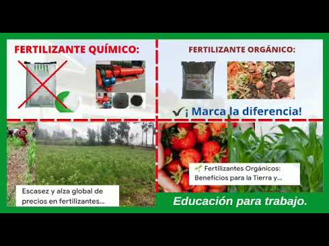 WhatsApp Video 2022 09 30 at 8 05 24 PM