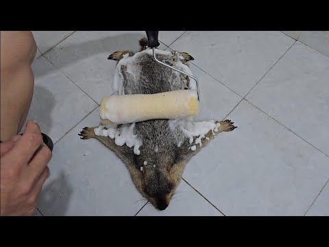 Murmeltiere lassen sich mit einer Farbrolle reinigen.