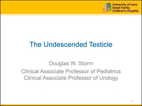 5.27.2020 PedsUroFLO Lecture - The Undescended Testicle