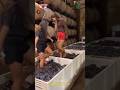 Traditional Grapes Wine Making Process