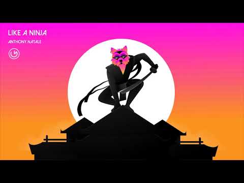 Anthony Natale - Like A Ninja (Original Mix) (Official Video)