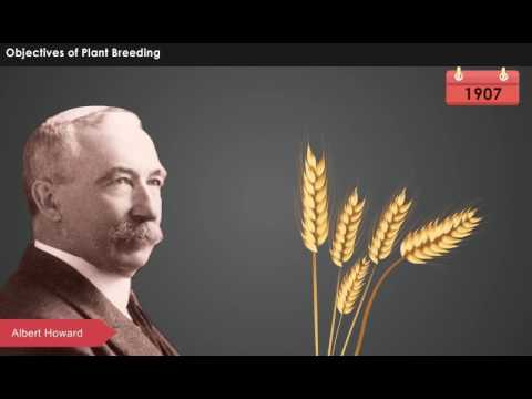 Objectives of Plant Breeding [Year-3]
