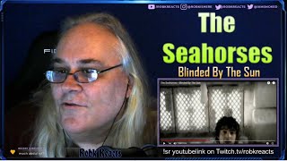 The Seahorses - edited video - Blinded By The Sun - Requested Reaction