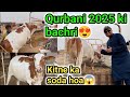 Alhamdulilah Qurbani 2025 Ki Bachri Khareed Li Humne Long Bargaining