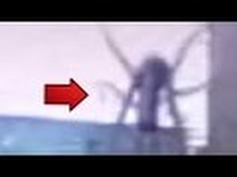 Slenderman Caught On Tape Stalking Children   Slenderman Sighting Caught on Video Camera   REAL