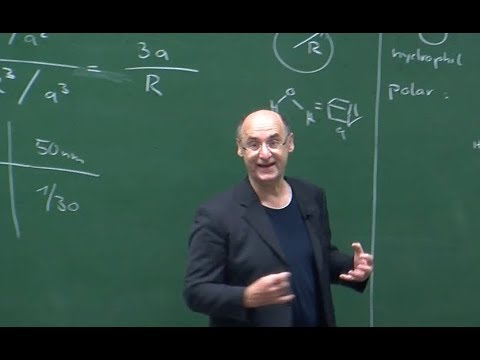 Thermodynamik II VL3: Amphiphile und Selbstorganisation - Prof. Hubert Motschmann, Uni Regensburg