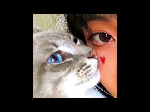 [FREE FOR PROFIT] Ericdoa x Glaive Pop Type Beat - "typhoon"