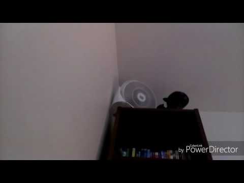 Tom the Hand 2x05: Big Time of Fun (2017) - The Fan Scene