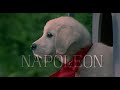 Napoleon Full Movie 1995