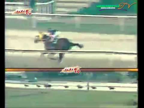 VALENCIA 11 CARRERA VIERNES 19 DE DICIEMBRE DEL 2014