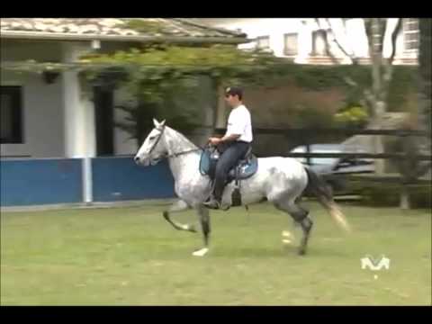 EMBRIÃO - FAVACHO TURBULÊNCIA X FATOR DA CAVARÚ-RETÃ