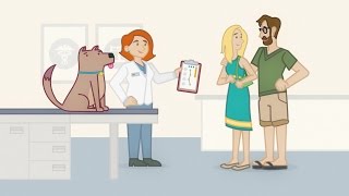 Banfield Pet Hospital – Optimum Wellness Plans for Dogs and Cats