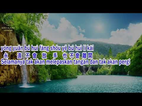 Xu Duo Nian Yi Hou (Mandarin song) ~ Karaoke || Male Key