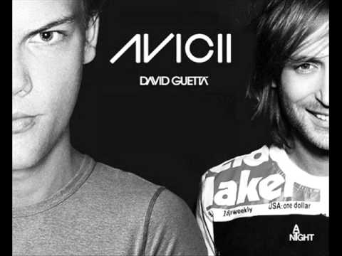 David Guetta & Avicii vs Bassmonkeys   In The Sunshine Bassmonkeys Bootleg Mix