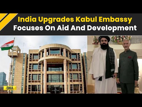 India Afghanistan News: Kabul Mission Upgraded To Embassy, India Expands Diplomatic Engagement
