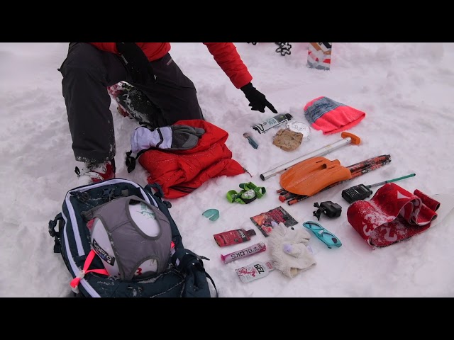What'S In My Pack - Lynsey Dyer'S G3 University Freeride Ski Tips