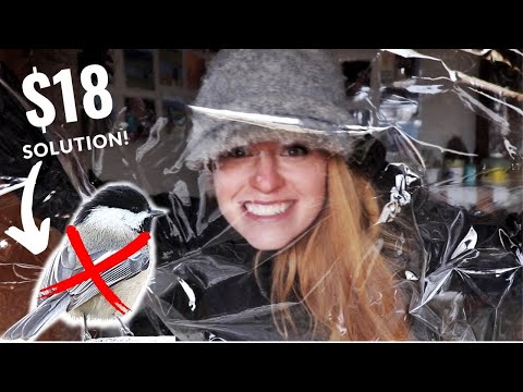YouTube video about: How to get birds out of the garage?