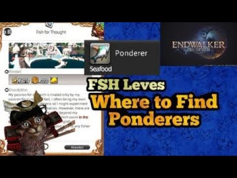 Where to Find Ponderer fish for Lvl 80 FSH Leve Fish for Thought FFXIV Endwalker