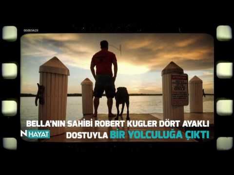N Hayat... Duygusal bir insan-köpek dostluğu hikayesi