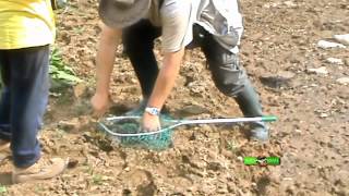 preview picture of video 'PESCANDO EL REMONTE DEL BARBO (Barbel fishing in Spain)'