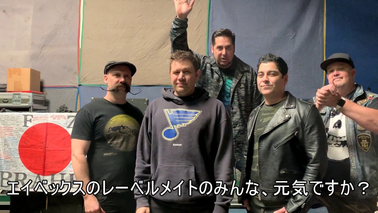Zebrahead