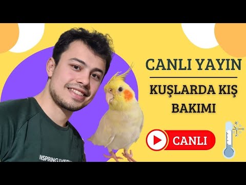 , title : 'Canlı Yayın Soru Cevap || Kuşlarda Kış Bakımı Nasıl Olmalıdır?'