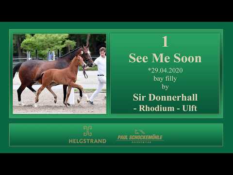 1 See Me Soon by Sir Donnerhall - Rhodium - Ulft